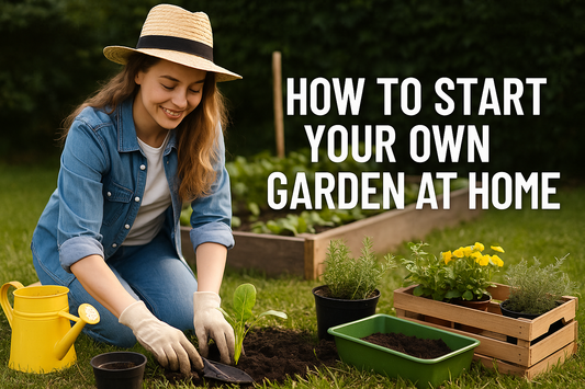How to Start Your Own Garden at Home